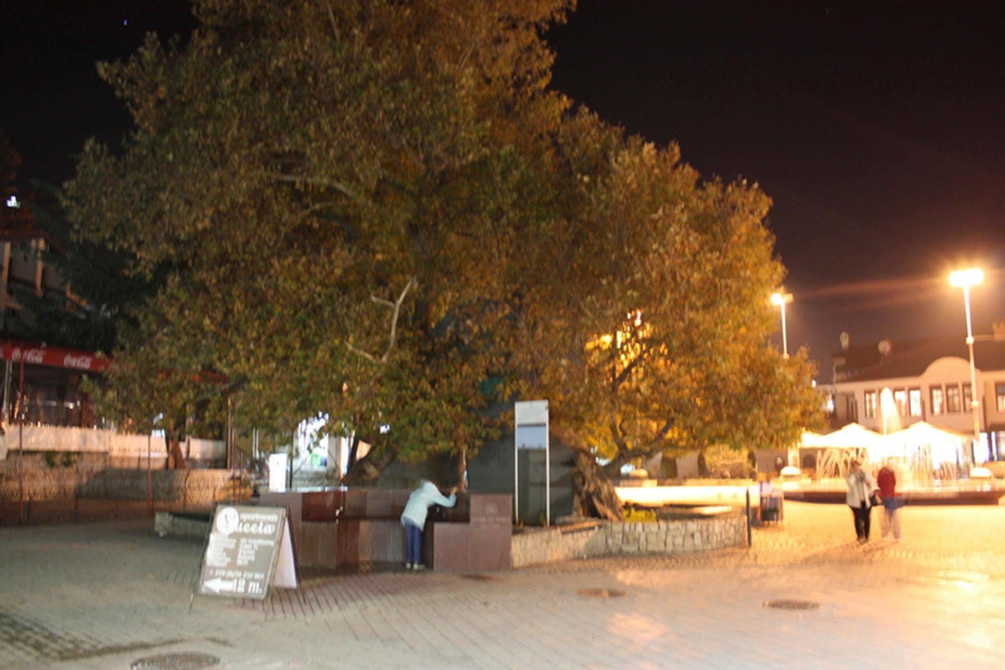 Luccia Apartments - Ohrid City Centre Bagian luar foto